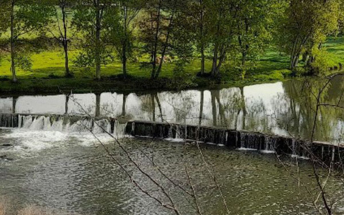 La resclosa de Can Buxó fa 2 metres d'alçada i 110 metres de llarg.