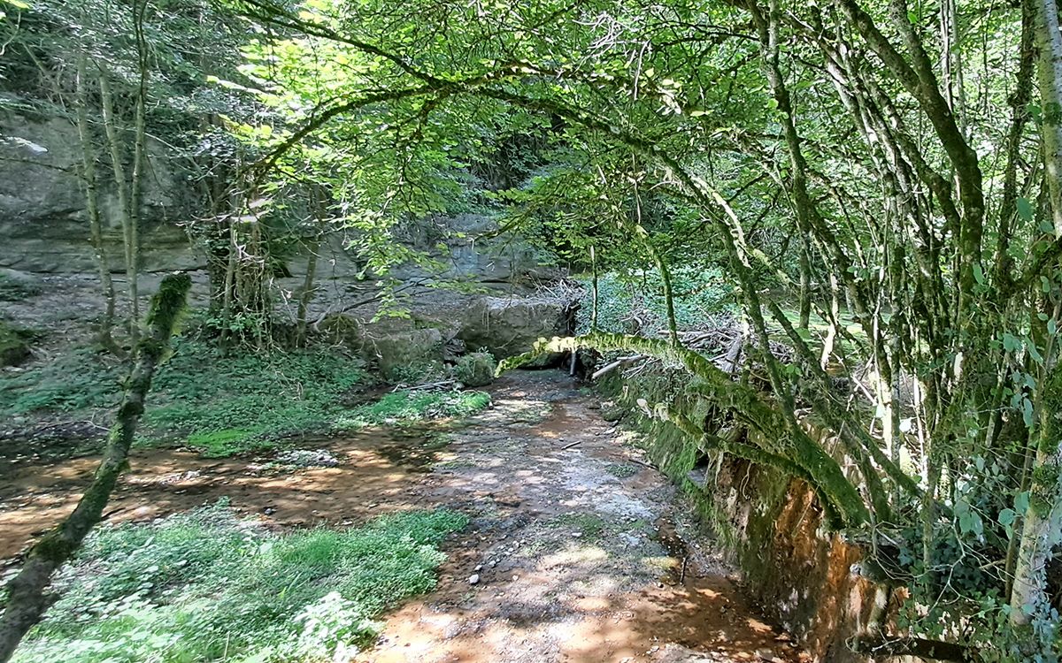 Una de les rescloses que hi ha a la riera de Sorreigs, a Osona.