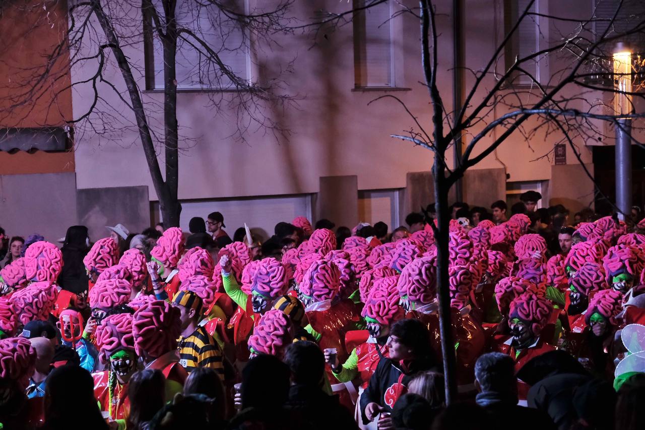 Multitudinari Carnaval de Terra Endins de Torelló.