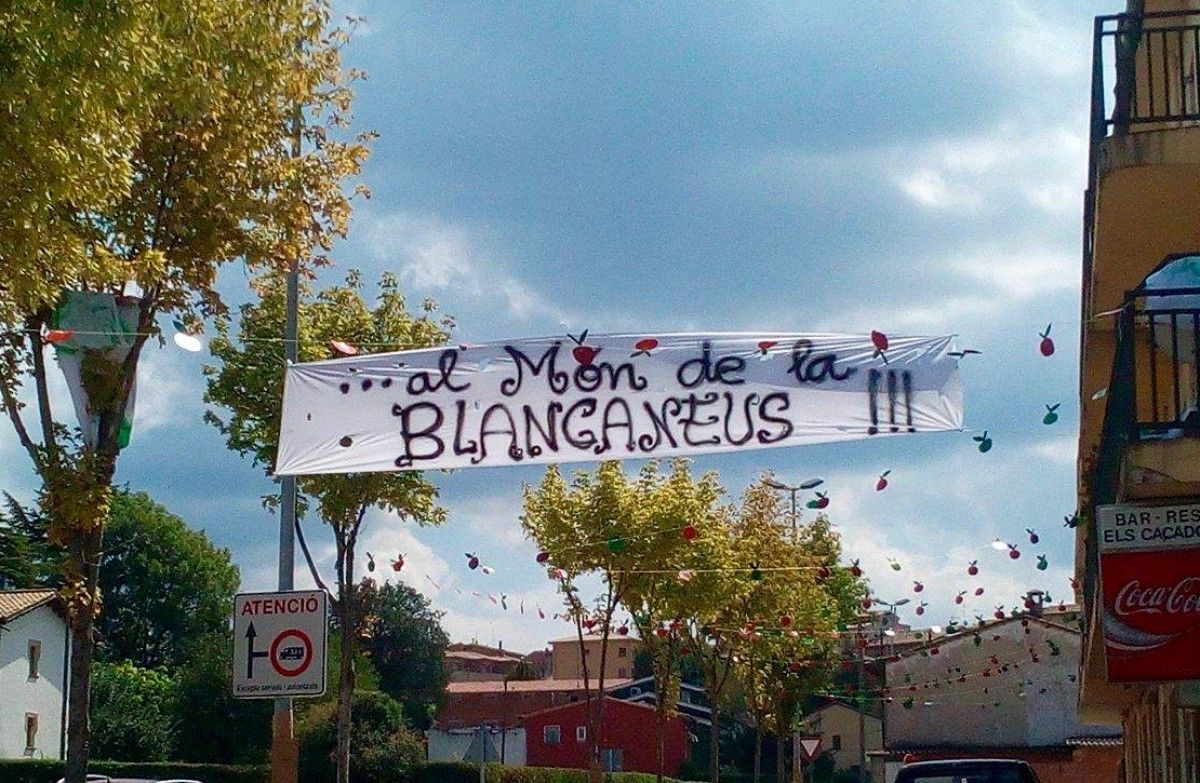 Un dels temes de decoració d'un tram de la carretera d'Arbúcies és «el món de la Blancaneus»