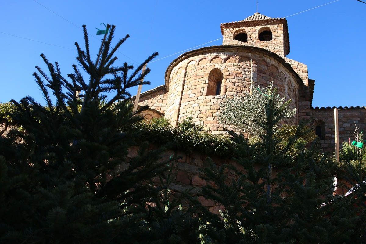 L'església de Sant Vicenç d'Espinelves, a través d'uns avets