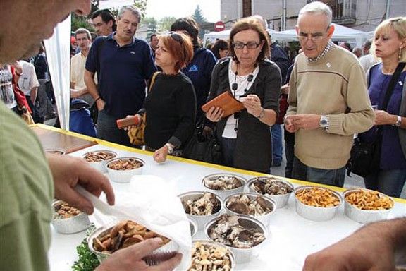 Un gran nombre de public ha visitat la Festa del Bolet de Seva