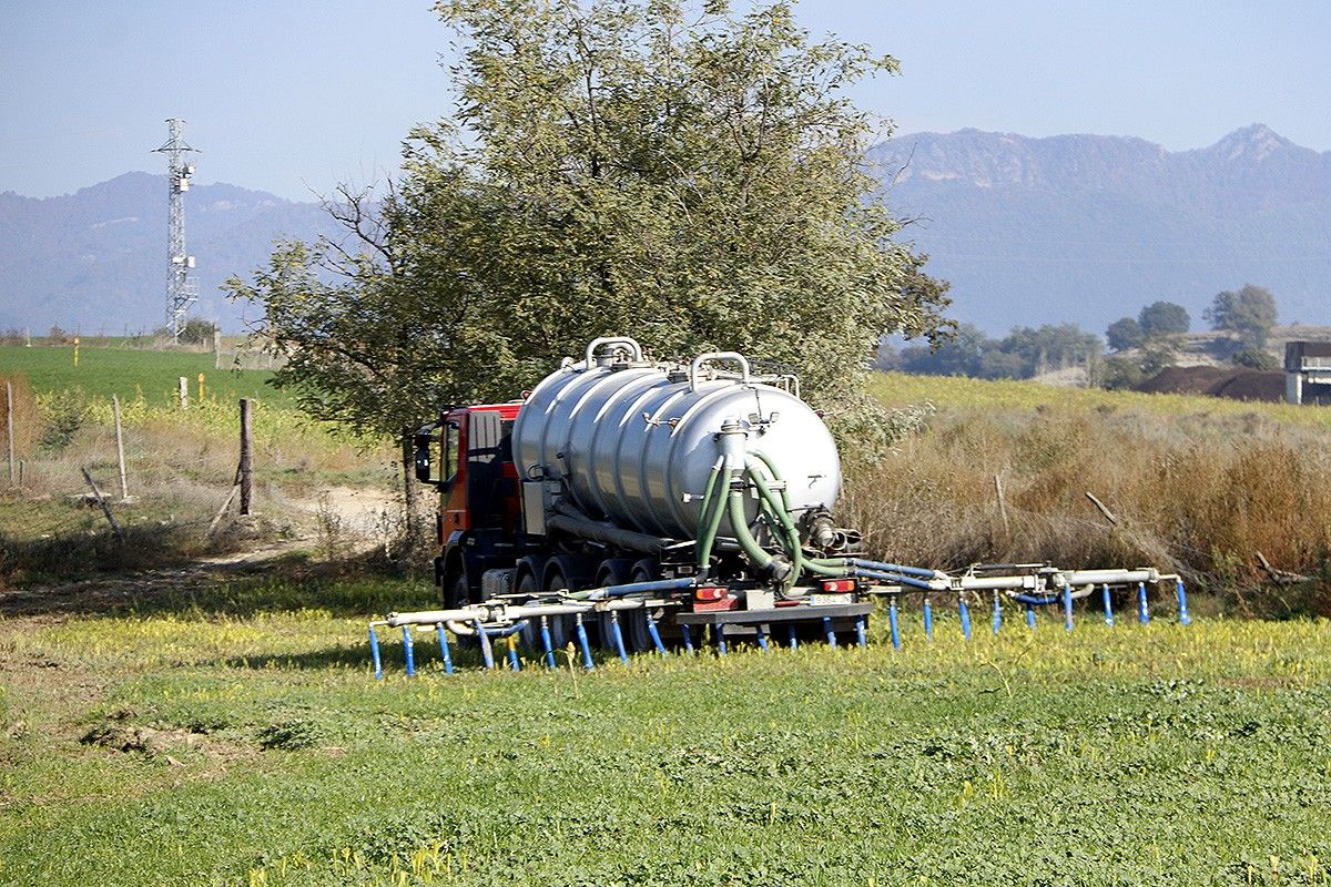 Un tractor escampant purí en un camp d'Osona