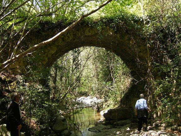 Pont de les cabres, al Parc Natural del Montseny.