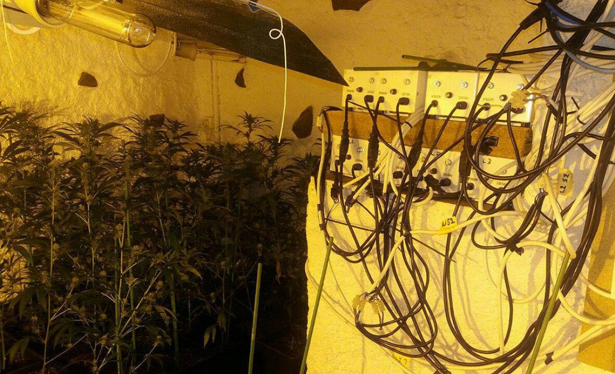 Interior de l'habitatge de Centelles on es cultivava la marihuana