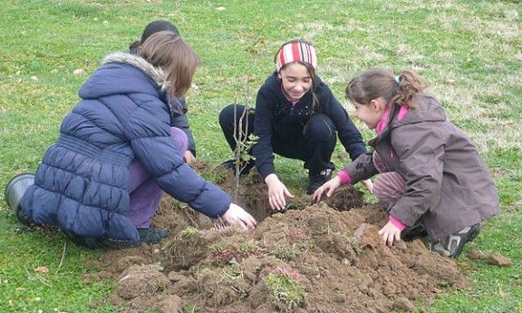 Alumnes de 3r i 4t del Ceip Josep Maria Xandri han plantat arbres a la zona de la Riera.