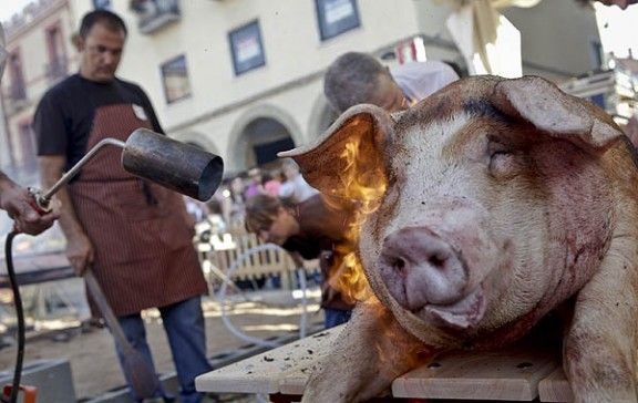 Els assistents van poder segur tots els passos de la matança del porc.