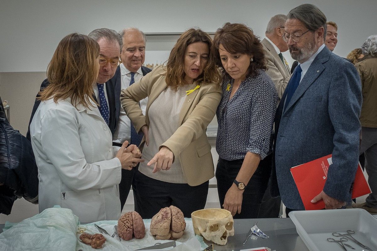 Mercè Conesa ha visitat la taula d'anatomia de la Facultat de Medicina de Vic.