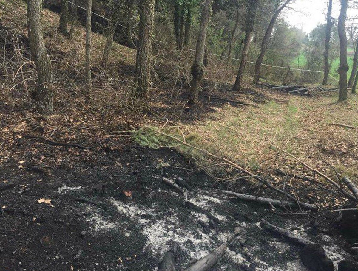 L'incendi a Perafita provocat per la crema de restes vegetals