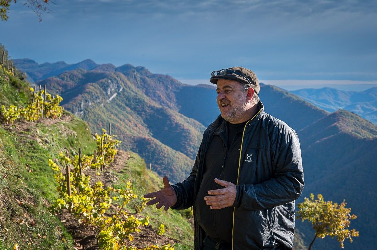 Eduard Rifà és organitzador del Torelló Mountain Wines i cultiva vinyes a Bellmunt.