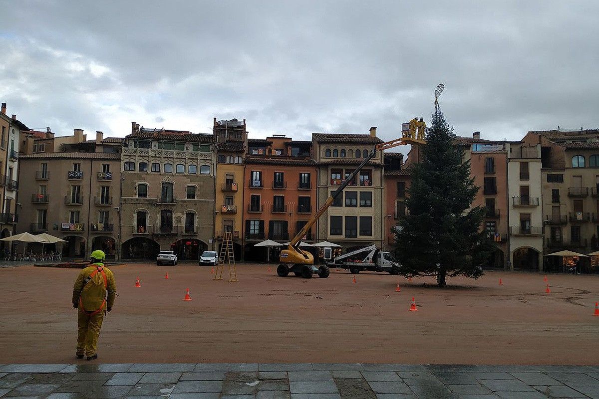 Operaris instal·lant l'arbre de Nadal a la plaça Major de Vic