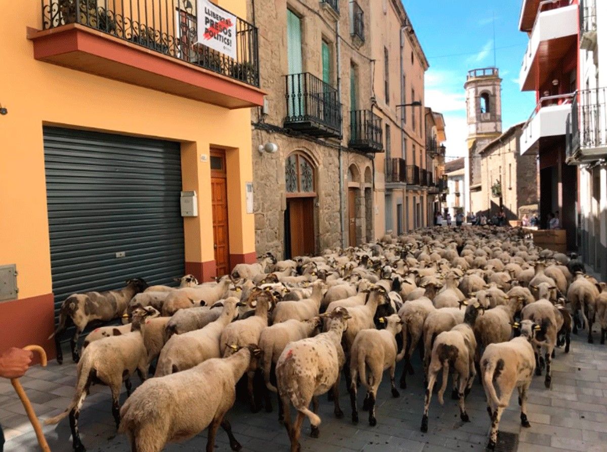El ramat d'ovelles als carrers de Prats