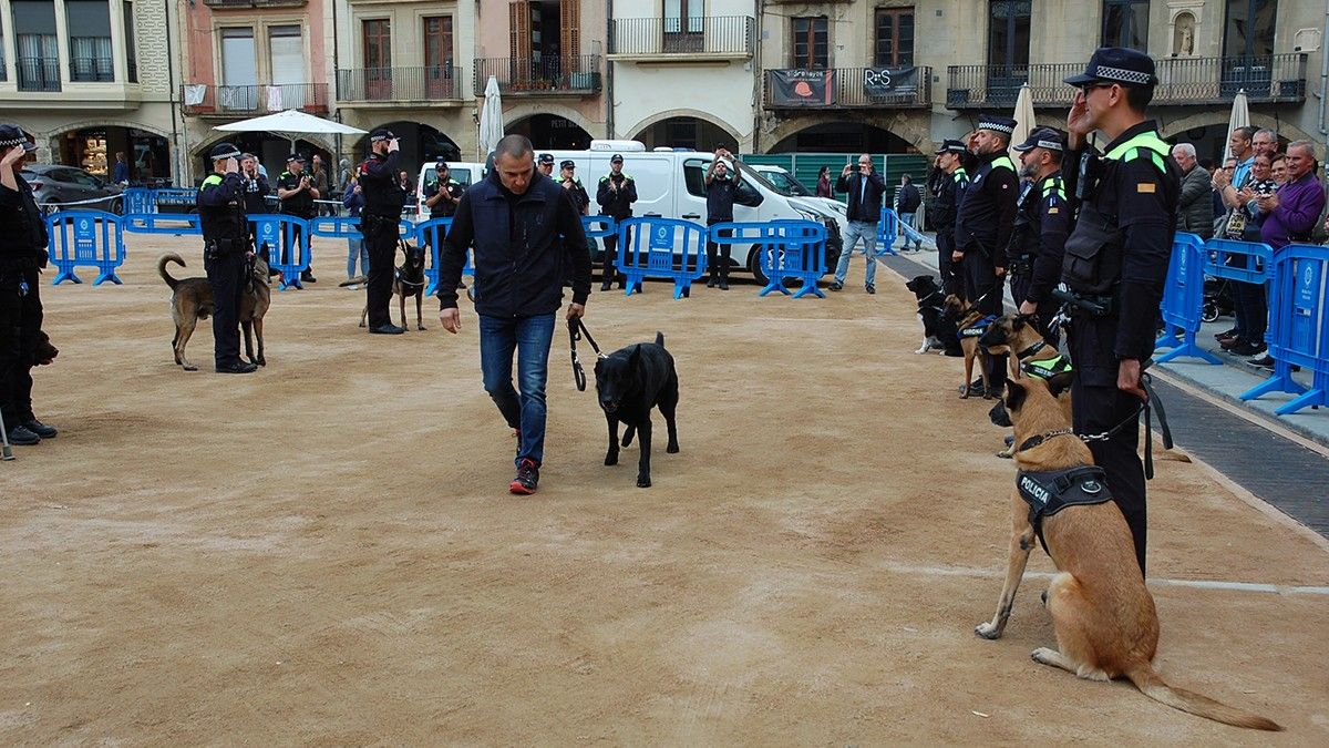 Agents de diferents patrulles canines de Catalunya han homenatjat a en Barney i el seu guia aquest dijous a Vic.