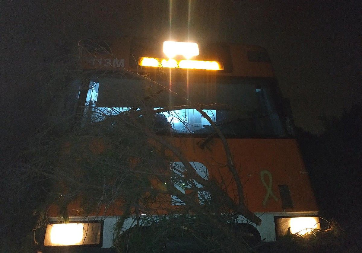 El tren que ha xocat amb un arbre talat intencionadament entre la Garriga i les Franqueses