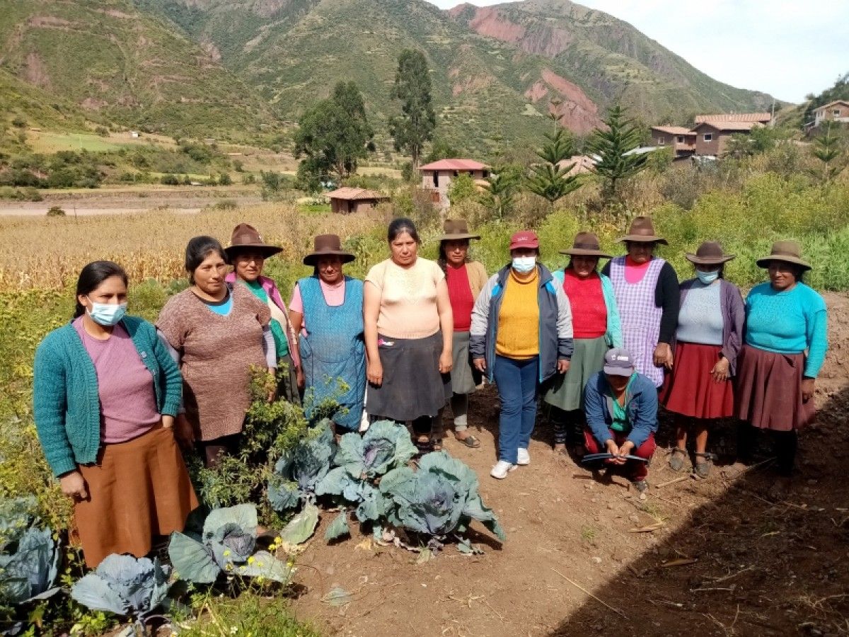 Camperolas indígenas al Perú