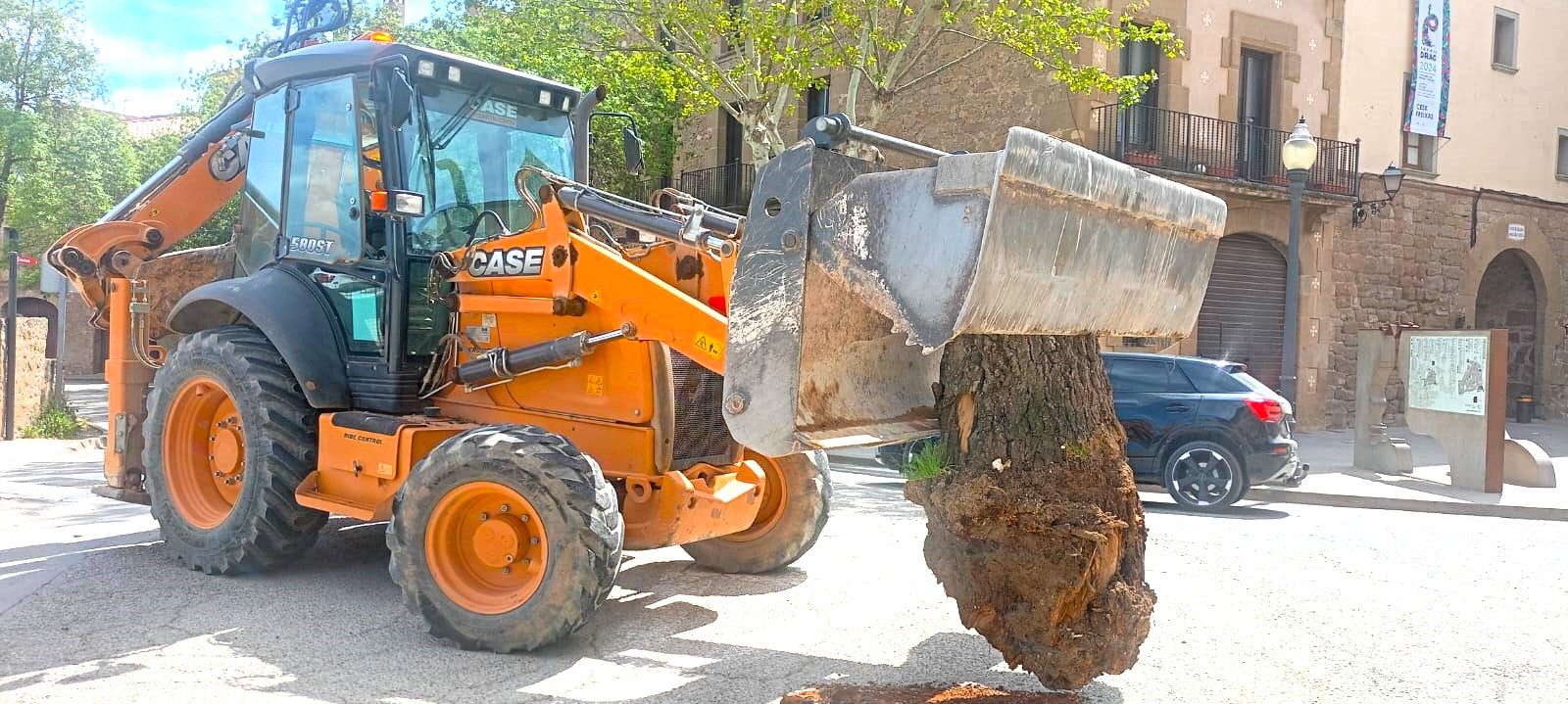 Un tractor de la brigada municipal retirant la soca de l'arbre