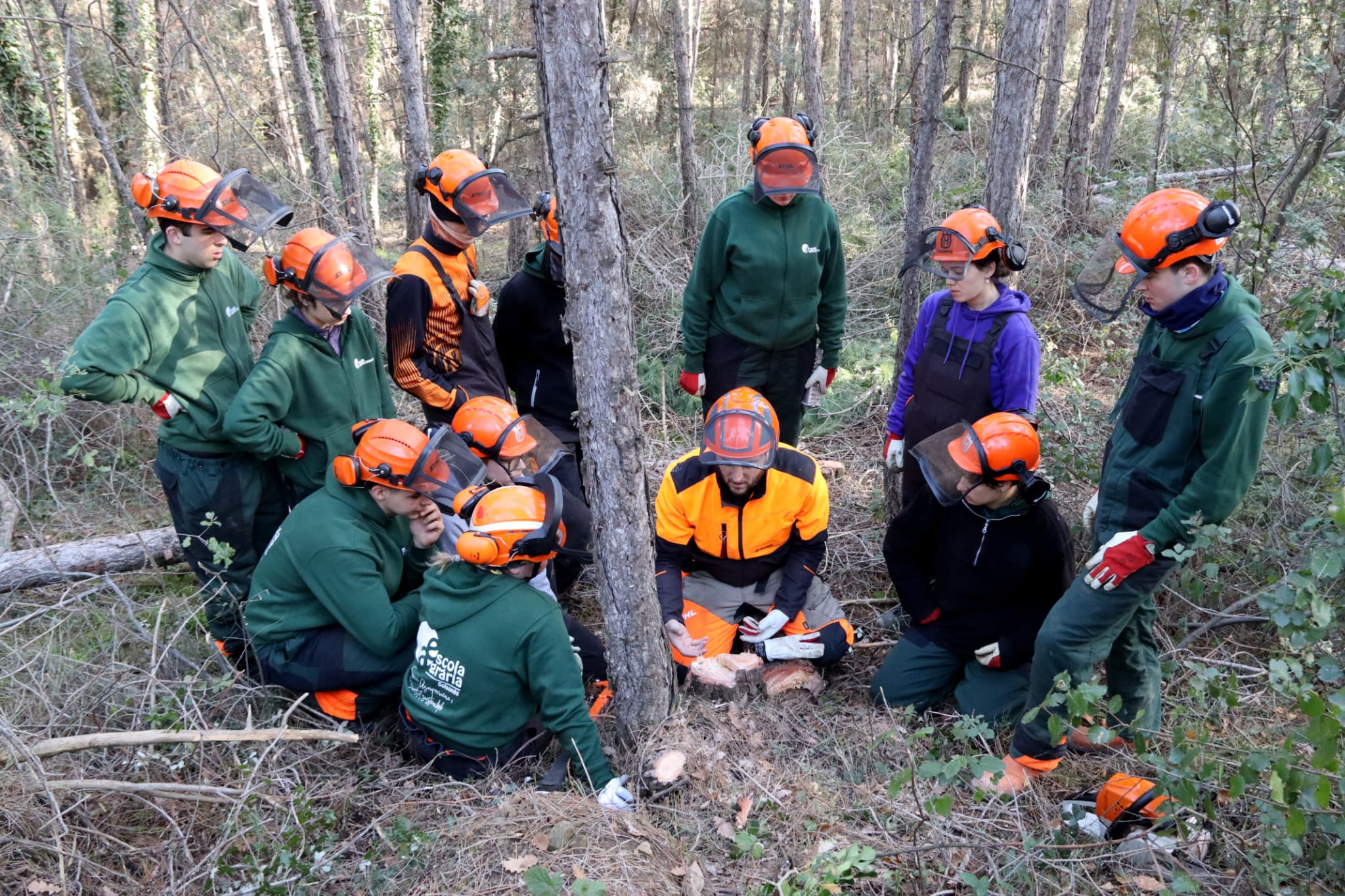 Els alumnes del grau de Gestió Forestal fent pràctiques al Bosc Escola de l'Escola Agrària del Solsonès