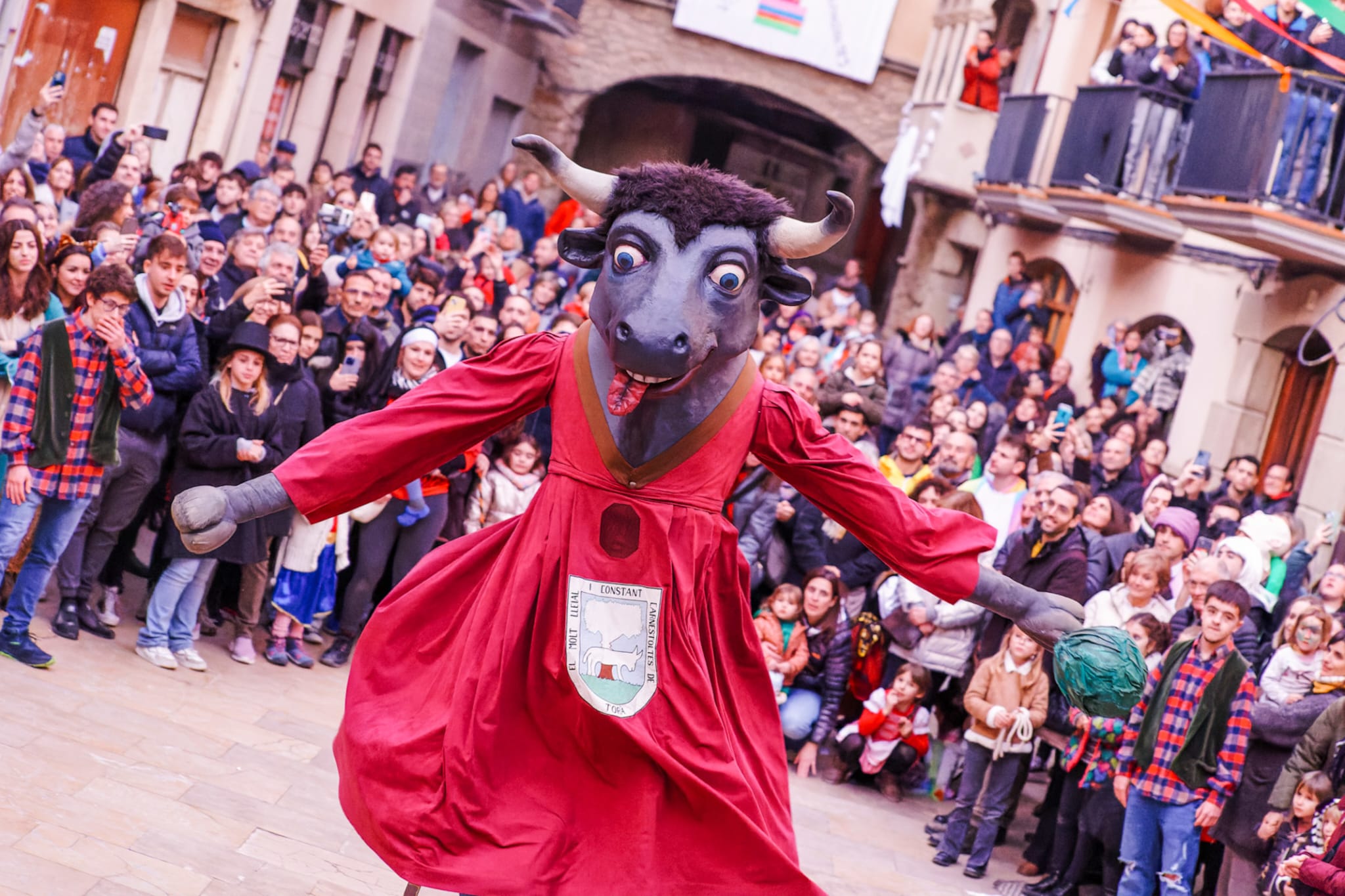 El gegant del Constantí tindrà aquest any actes propis per a ell  Autor: Cedida a l'ACN per la Festa del Brut i la Bruta