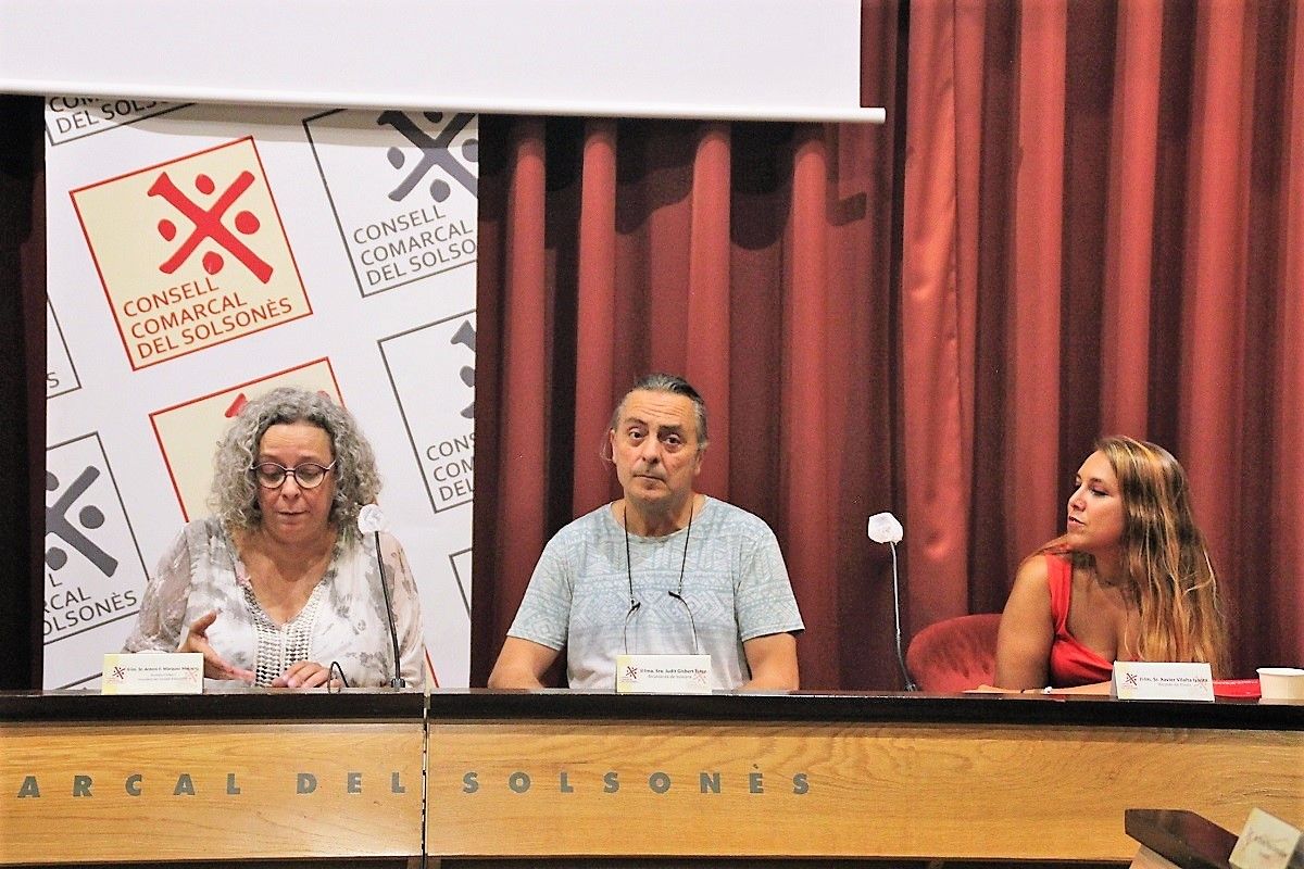 (Arxiu) Presentació de GiGa al Consell Comarcal