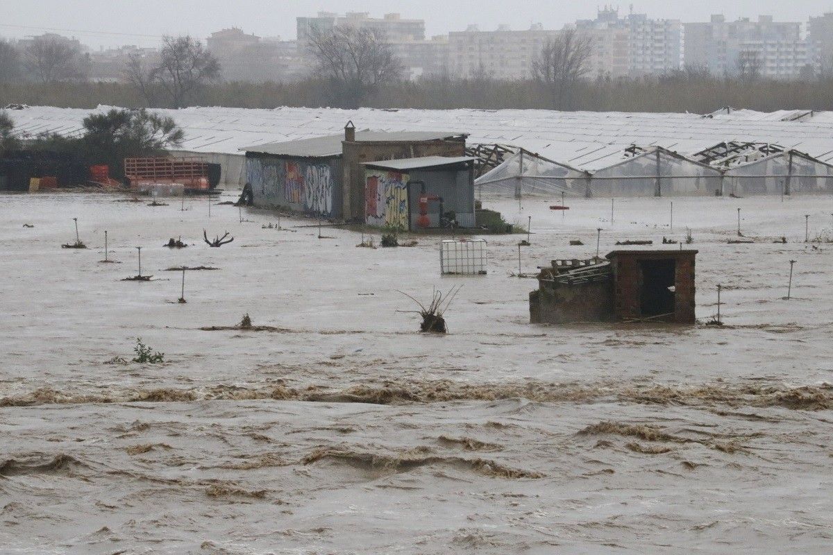 Conreus completament inundats a Malgrat, durant el temporal.
