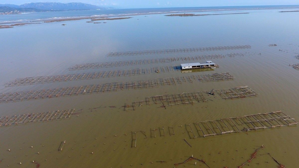 El temporal ha provocat la inundació de 3.200 hectàrees de cultius al delta de l'Ebre