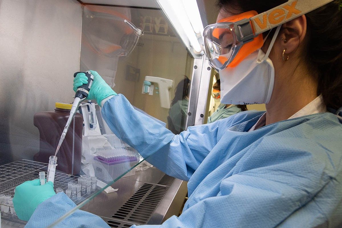 Una treballadora del laboratori de l'Hospital Clínic fent proves de coronavirus