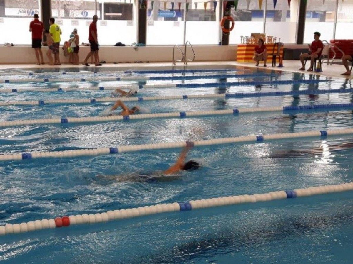 Campionat de natació a la piscina de l'Eurofitness de Sant Cugat. 