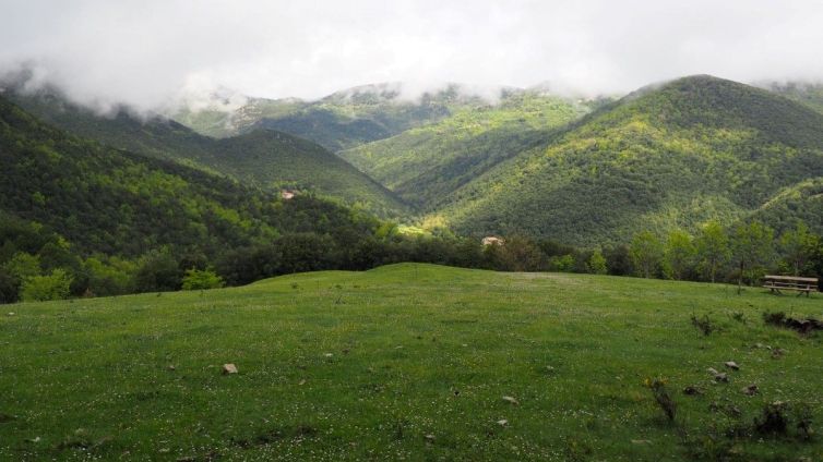 Entorns forestals d'Oix, a l'Espai Natural de l'Alta Garrotxa.