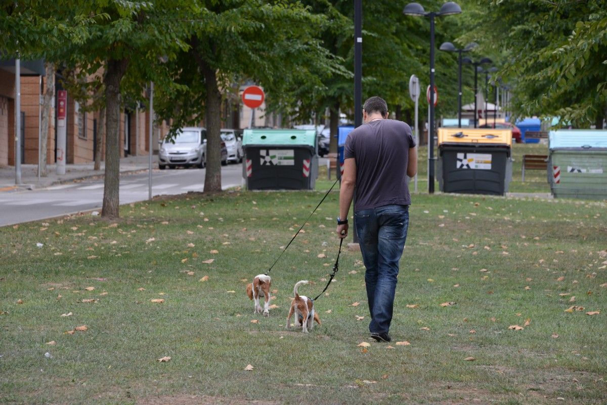 Un home passejant dos gossos a Rubí.