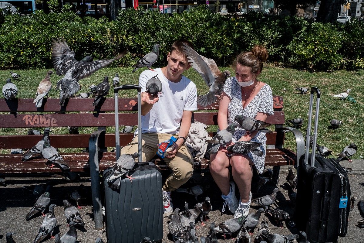 Una parella de turistes donant menjar als coloms de plaça Catalunya