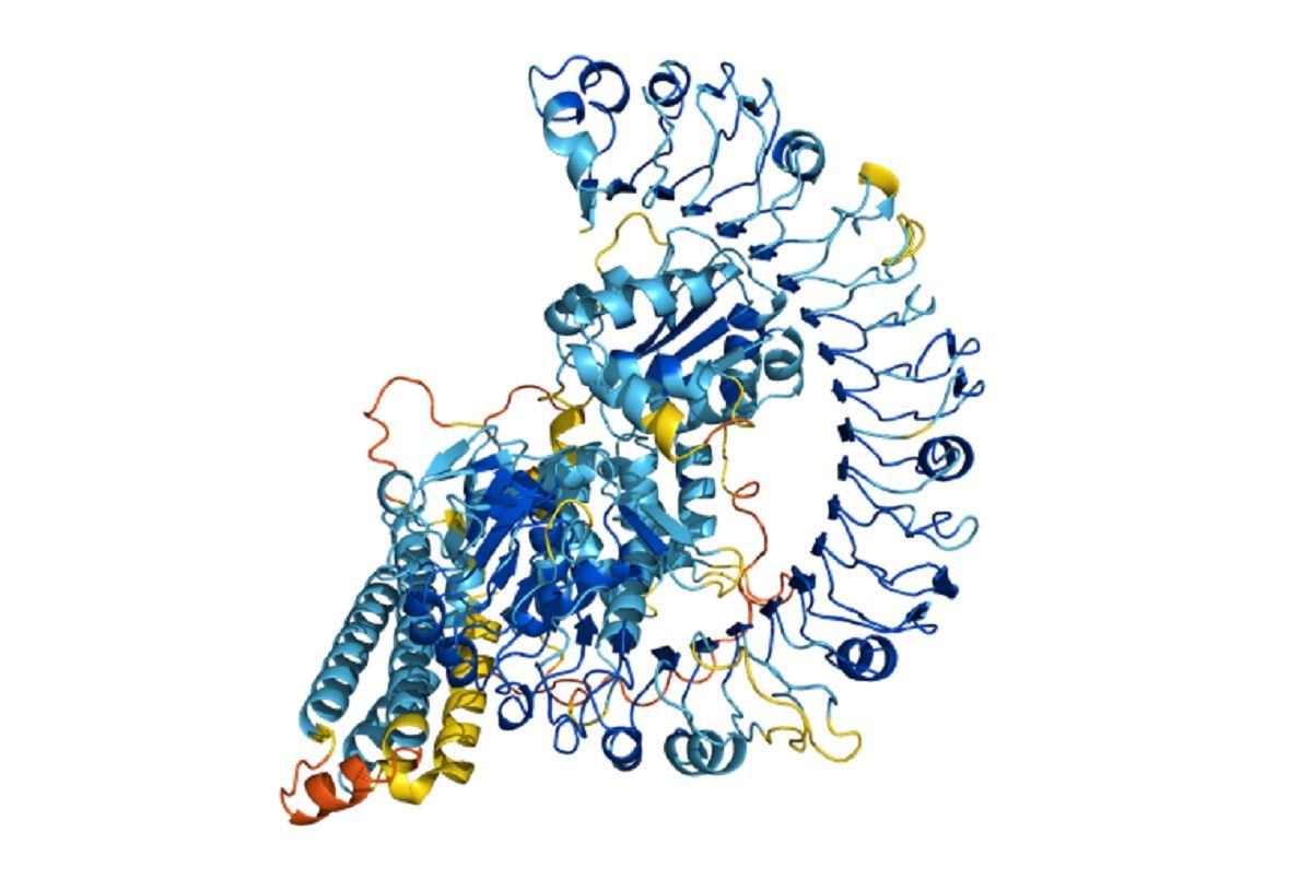 Proteïna recreada amb el programa Alphafold