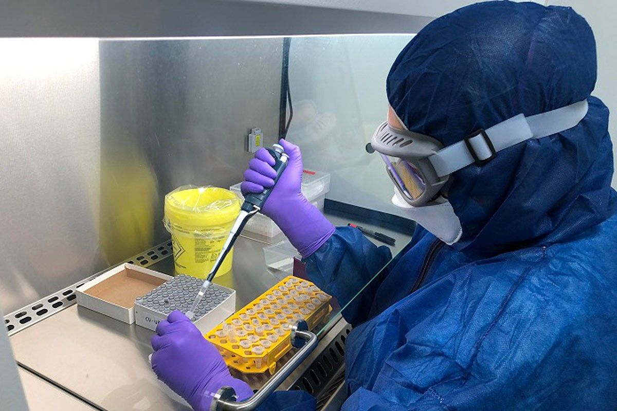 Una treballadora analitzant una mostra de PCR en el laboratori d'Hipra
