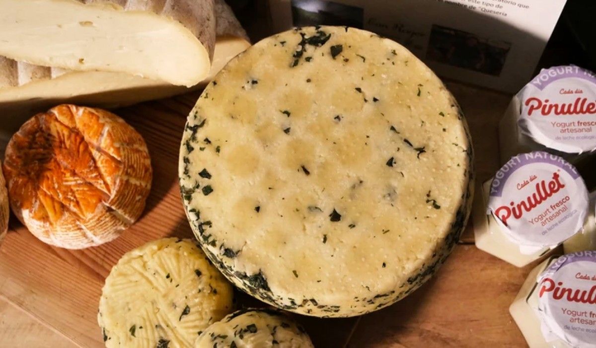Alguns dels formatges elaborats per Francesco Cerutti