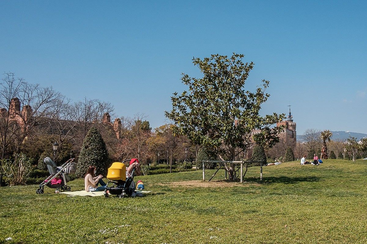 El parc de la Ciutadella ofereix grans espais per passejar envoltats de natura