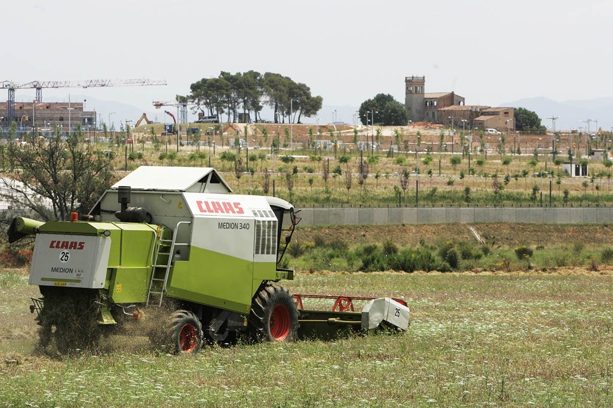 La parcel·la de Can Gambús del Parc Agrari.