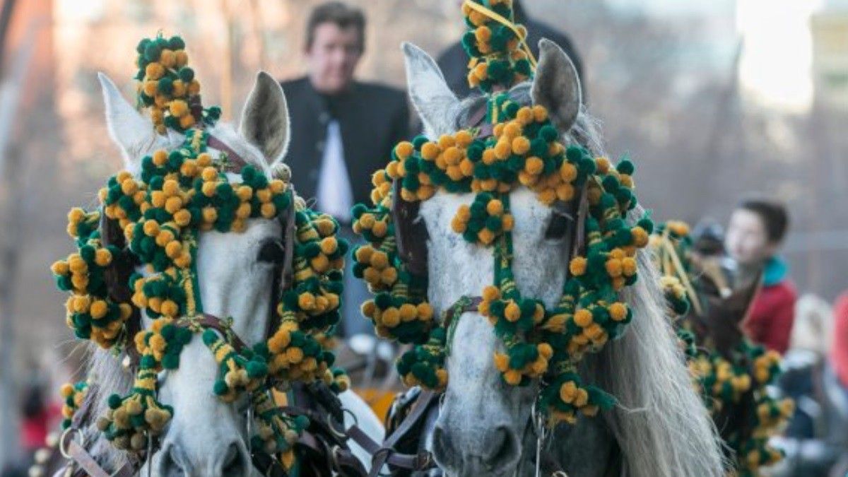 La Passada de Sant Antoni de Sabadell