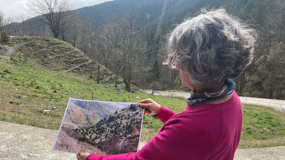 Una enginyera d'Acció Climàtica mostra el bosc del nord del Ripollès on es faran les tales selectives