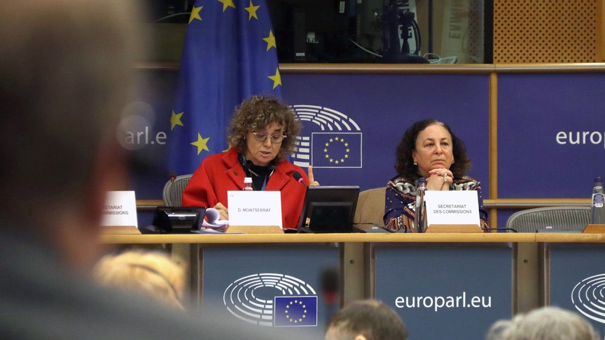 Dolors Montserrat, presidenta de la comissió de Peticions del Parlament Europeu.