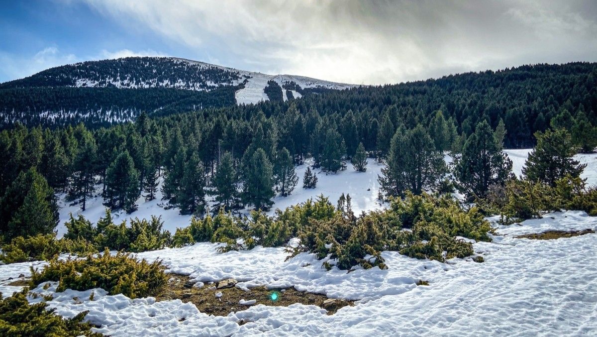 La zona de Tuixent La Vansa és ideal per a fer hi excursions tant quan hi ha neu com quan no n'hi ha