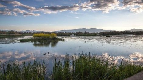 aiguamolls emporda