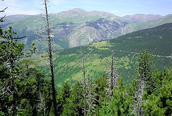 Els ambientalistes volen que el PEIN de les capçaleres del Ter i el Freser sigui parc nacional.