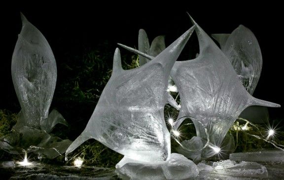 Escultures de gel d'Eudald Alabau.