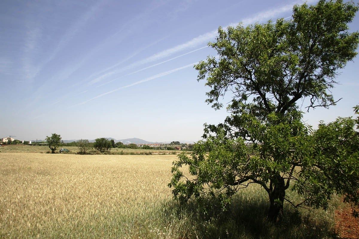 El Parc Agrari de Sabadell forma part de l'espai