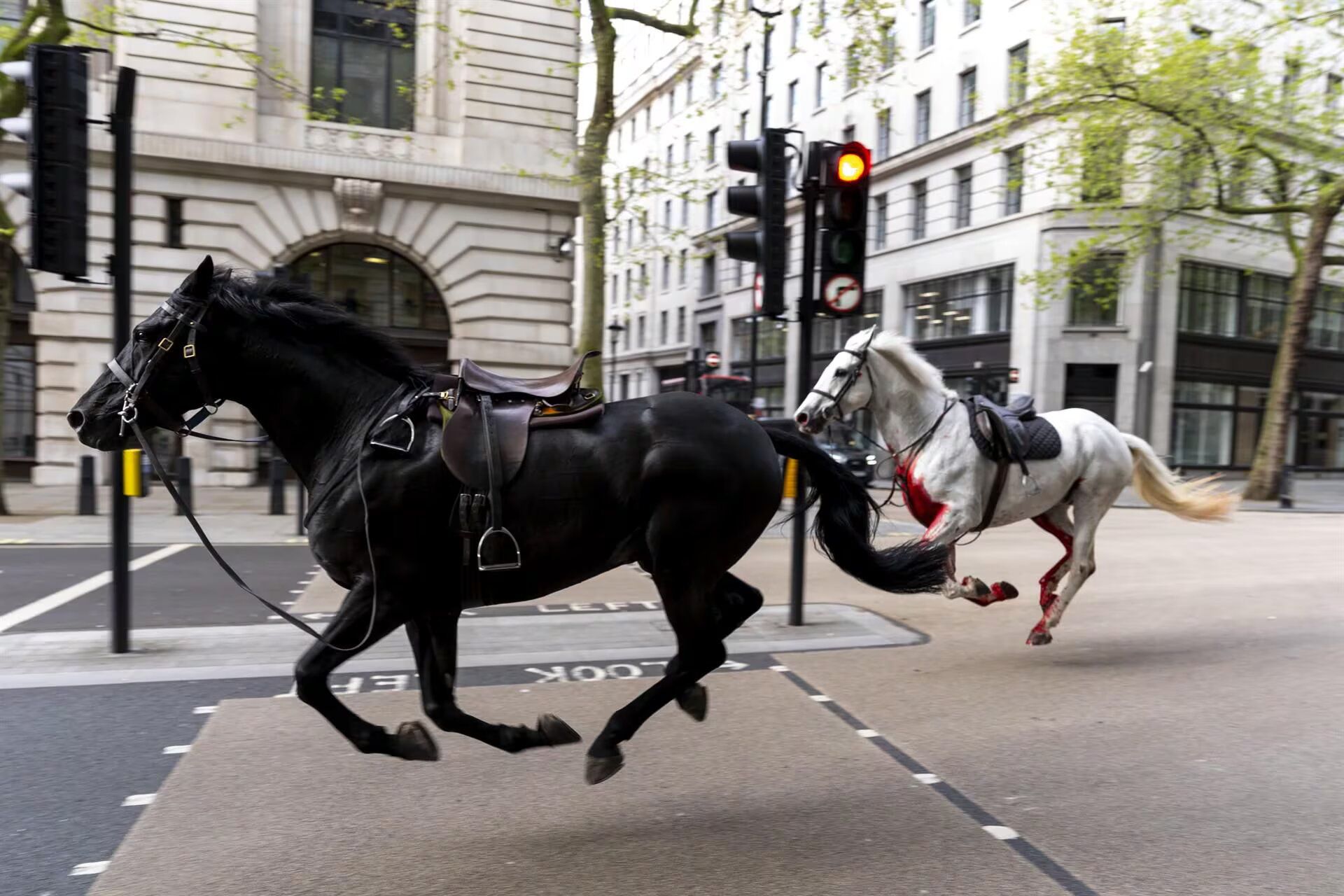 Els dos cavalls desbocats per Londres