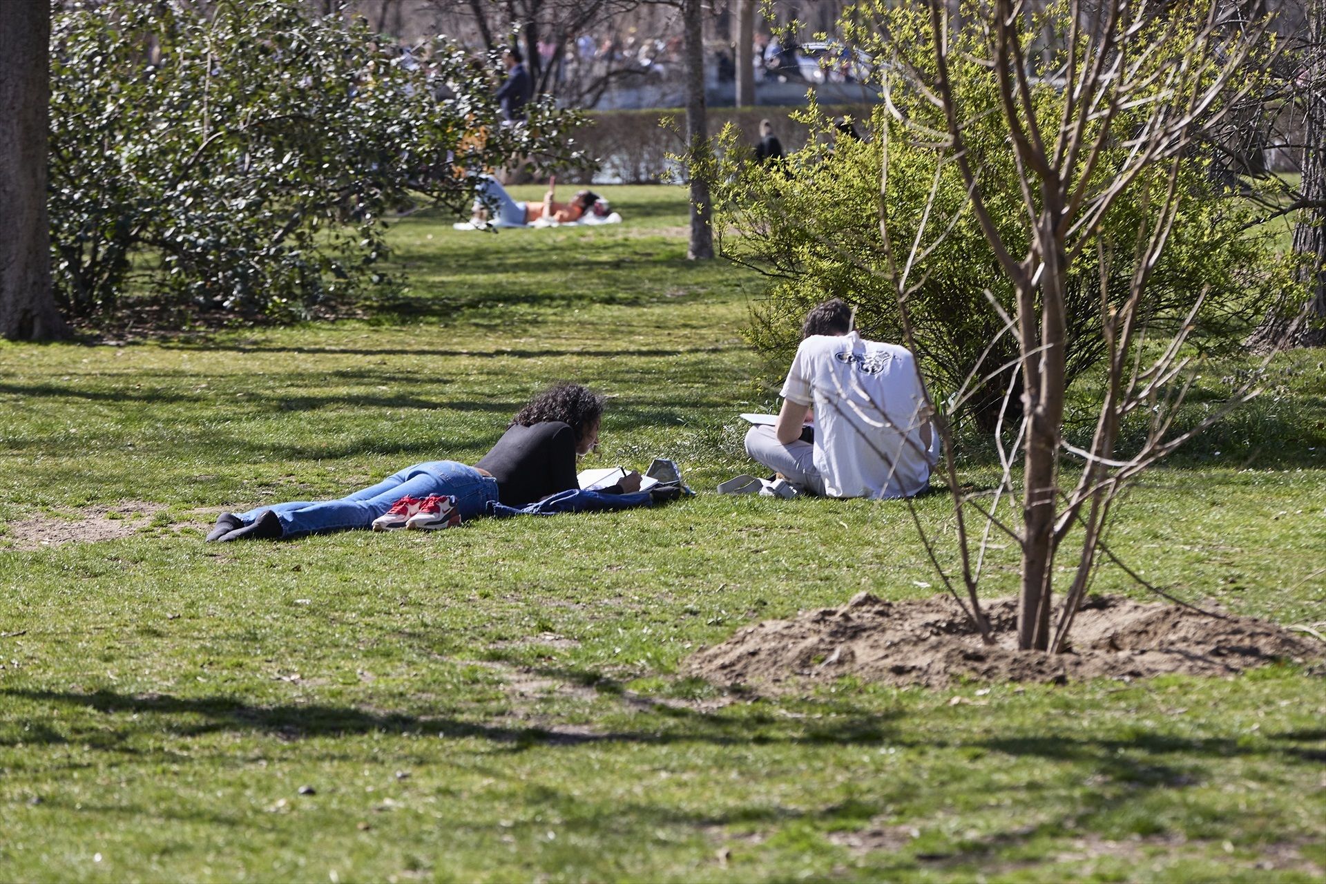 Dos joves llegint en un parc