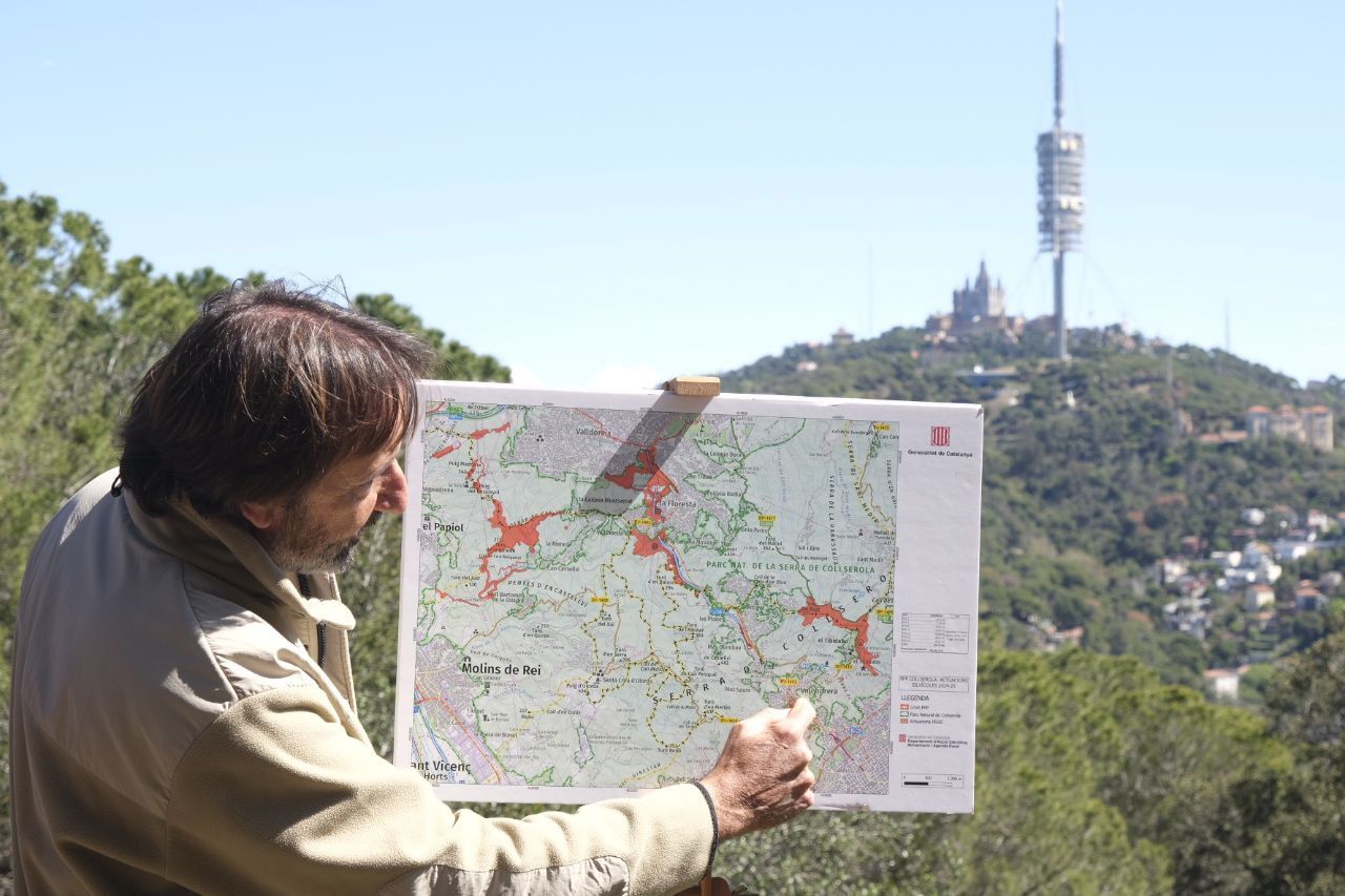 Eloi Beulas, cap del servei de Boscos d'Acció Climàtica, mostrant l'àrea de Collserola on s'ha actuat