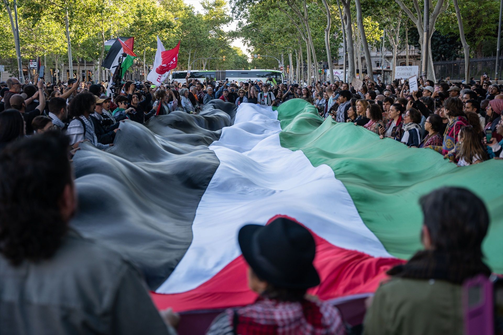 Manifestació en suport de Palestina a Barcelona, en imatge d'arxiu
