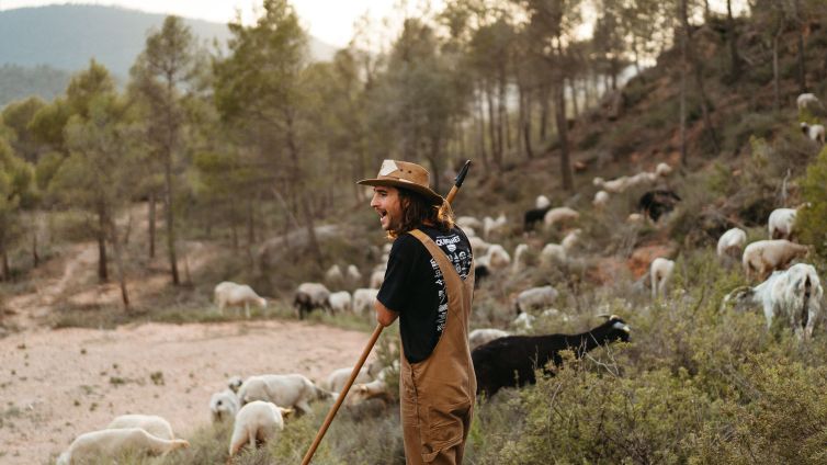 Arnau Vilumara, pasturant el seu ramat Foto: Marta Riba
