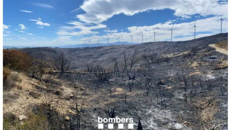 Incendi extingit a Tortosa. Foto: Premsa Bombers