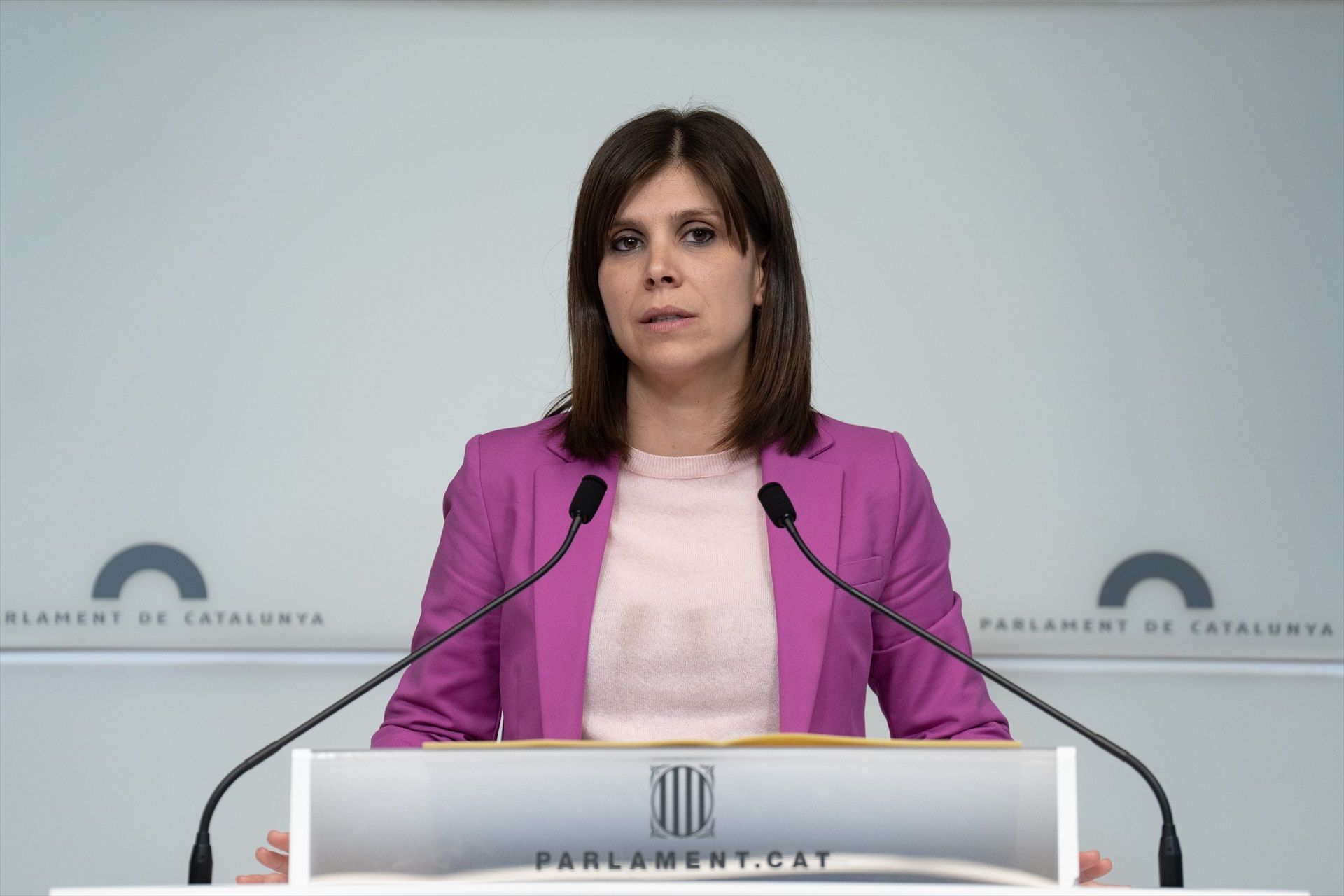 Marta Vilalta, en roda de premsa al Parlament.